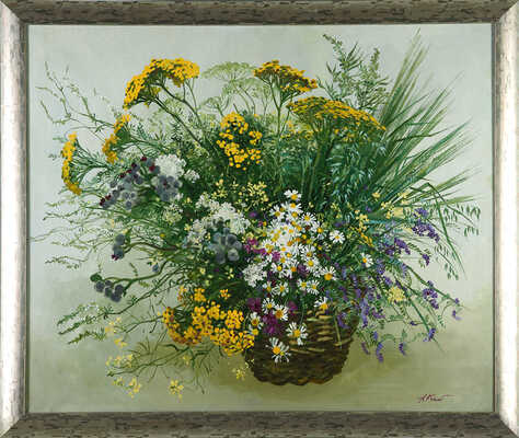 Кочетова Наталья Вениаминовна. Полевые цветы